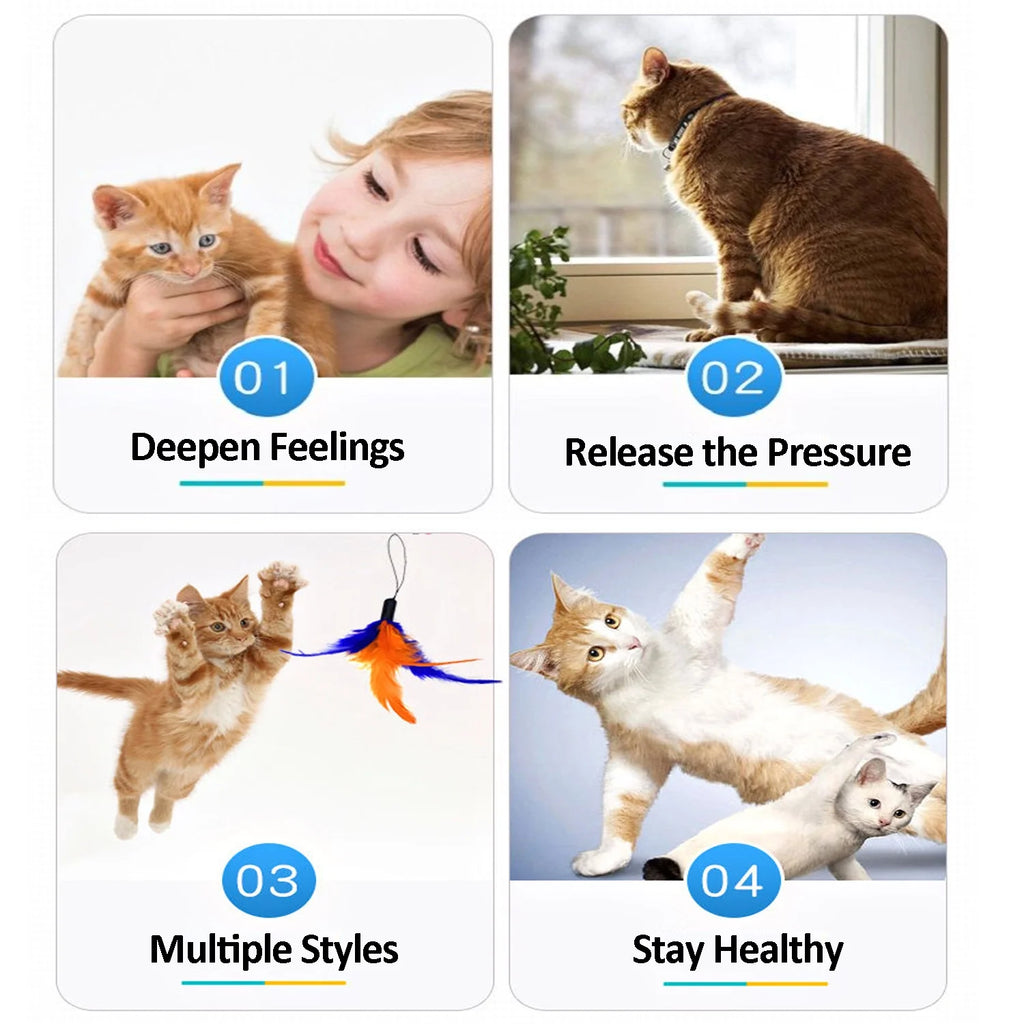 11-Piece Cat Feather Toy Set with Various Styles, Replacement Feather Refills with Bells for Interactive Play and Exercise for Cats and Kittens